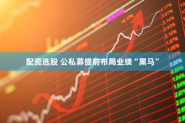 配资选股 公私募提前布局业绩“黑马”