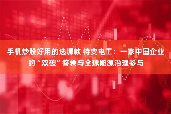 手机炒股好用的选哪款 特变电工：一家中国企业的“双碳”答卷与全球能源治理参与