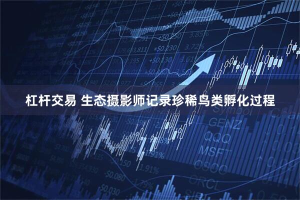 杠杆交易 生态摄影师记录珍稀鸟类孵化过程