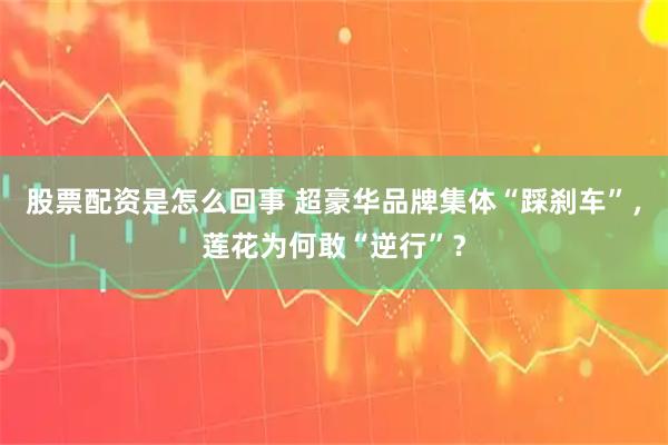 股票配资是怎么回事 超豪华品牌集体“踩刹车”，莲花为何敢“逆行”？